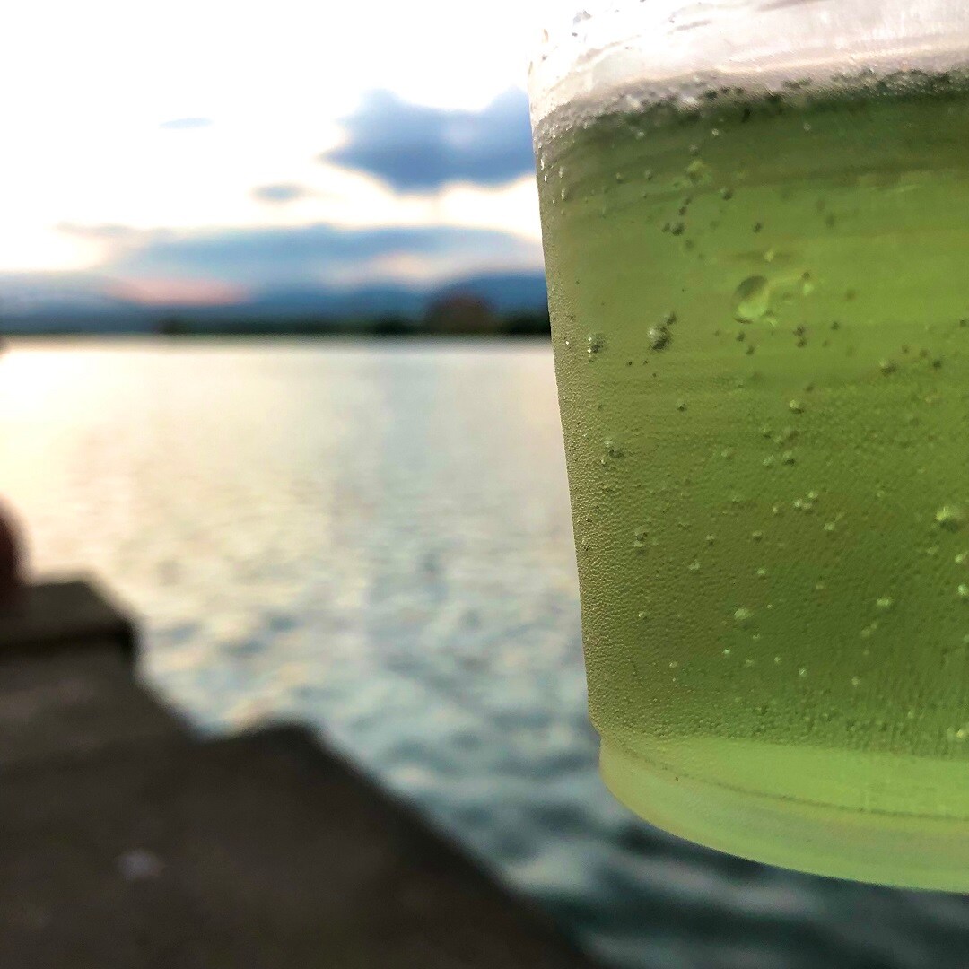 乾杯
