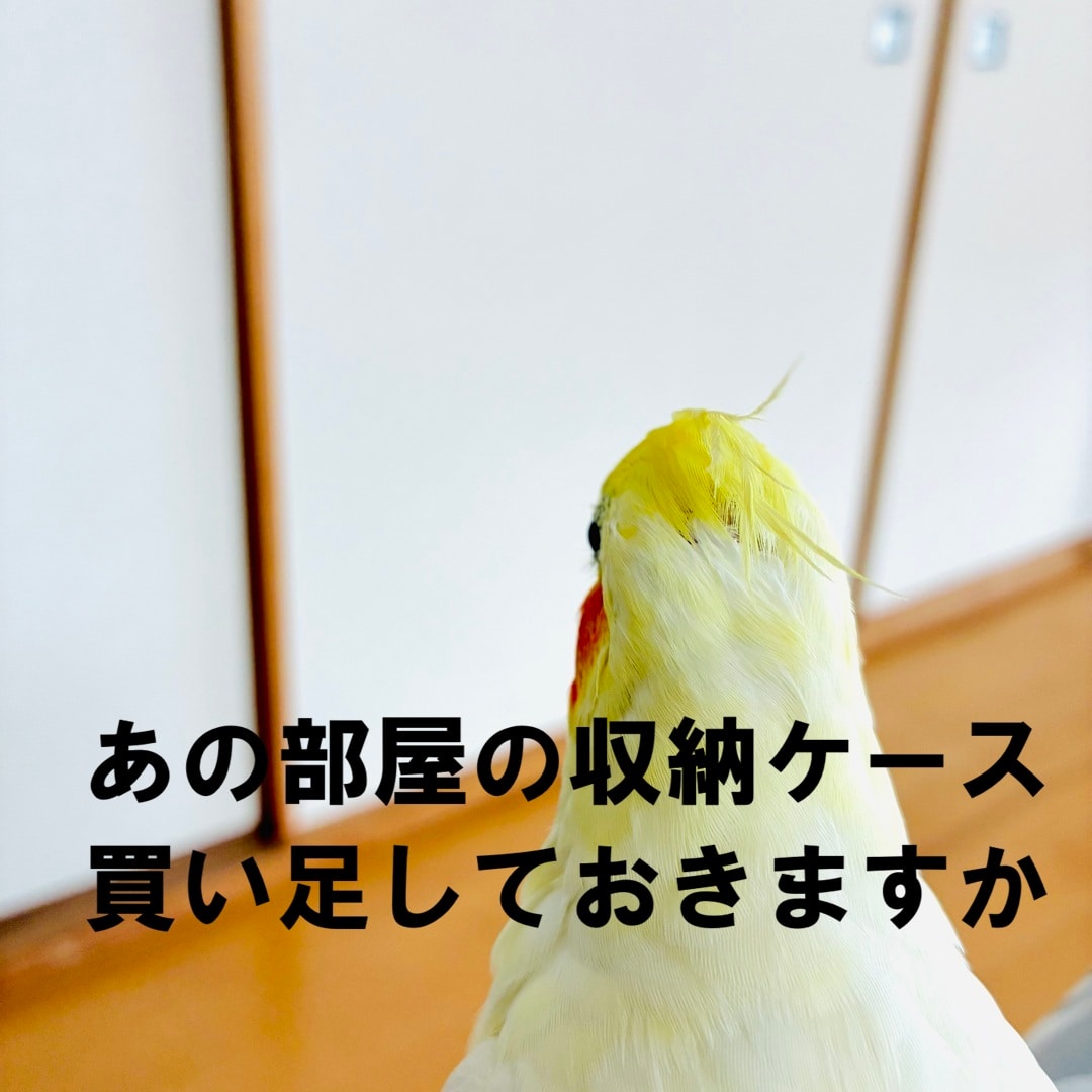 【静岡パルコ】値上がりします_1mXco2