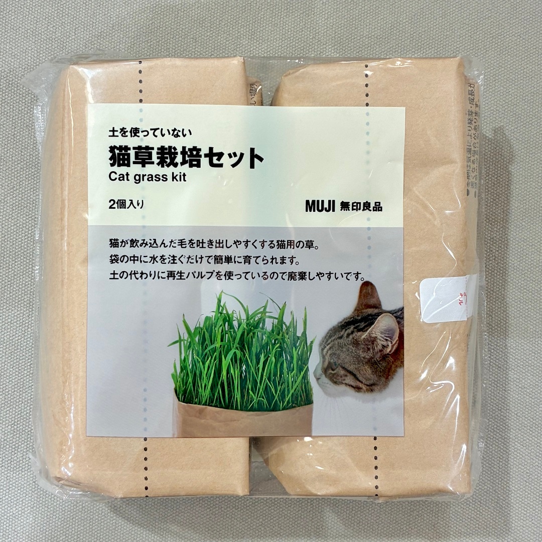 【静岡パルコ】猫草栽培セット