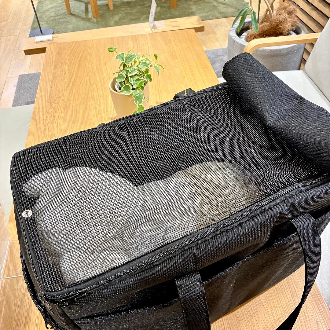 【静岡パルコ】メッシュのフタ
