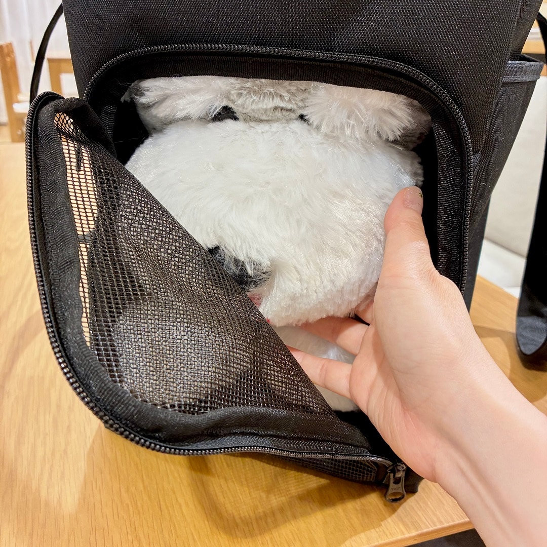 【静岡パルコ】側面から顔を出すワンちゃん