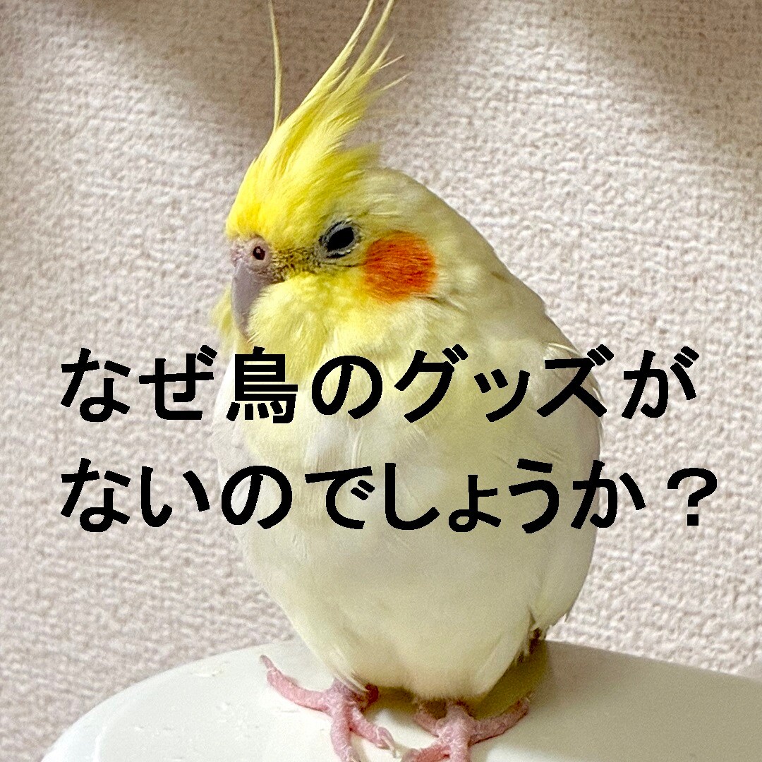 【静岡パルコ】なぜ鳥のグッズがないのかと聞くピーちゃん