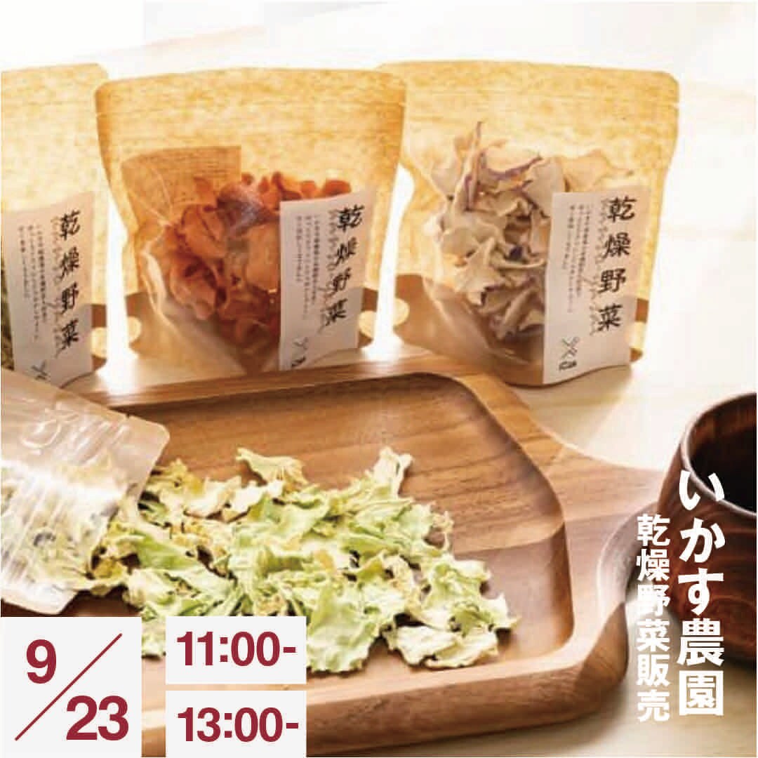 【港南台バーズ】