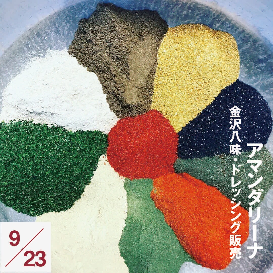 【港南台バーズ】