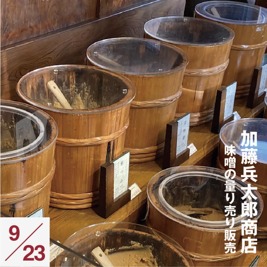 【港南台バーズ】