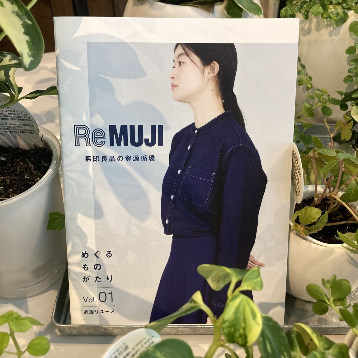 REMUJIリーフレット