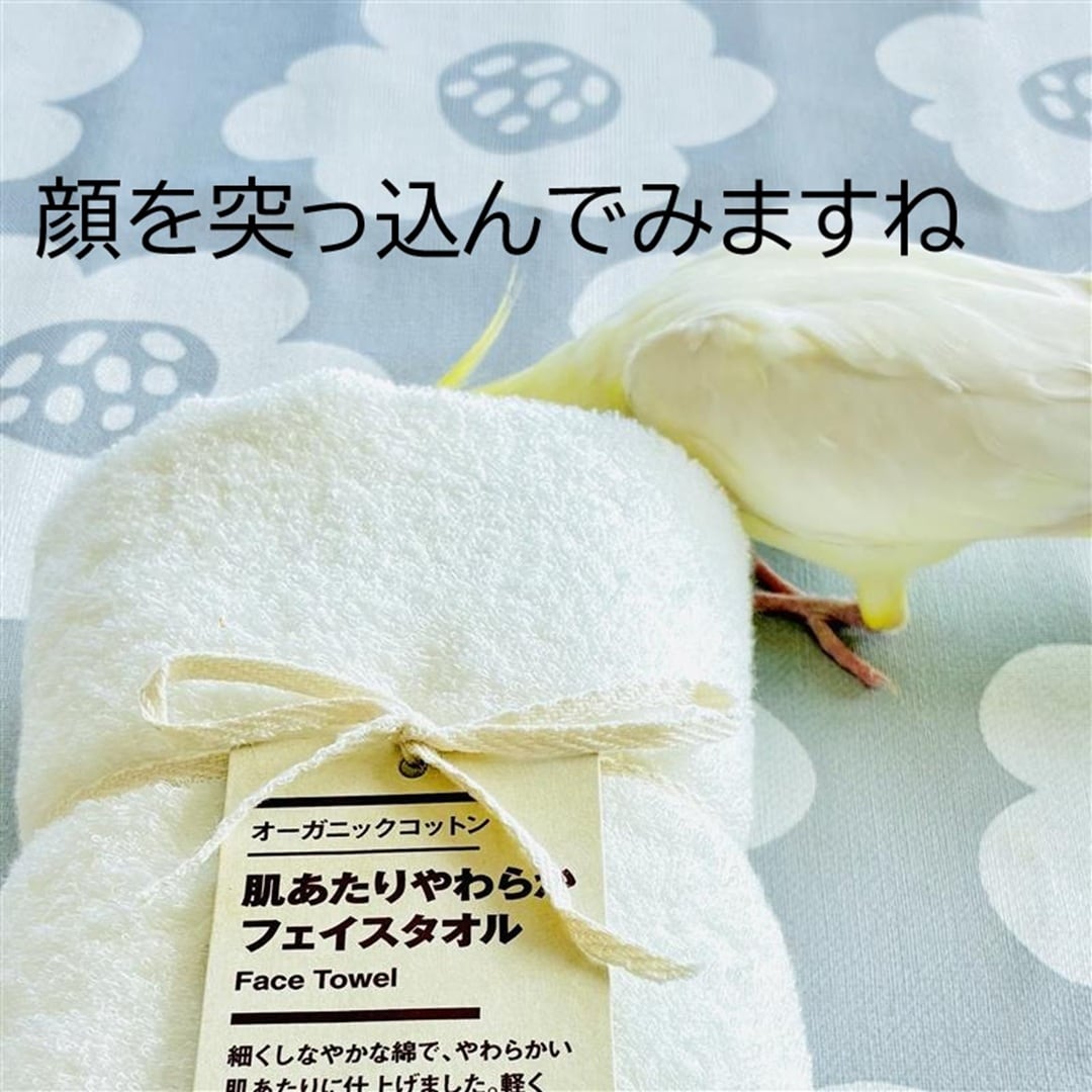 プレゼントしたいタオル｜オカメ通信【静岡パルコ】_9kU82u