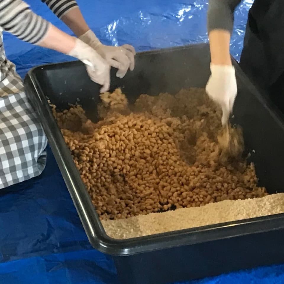 味噌仕込み1 1.jpg 