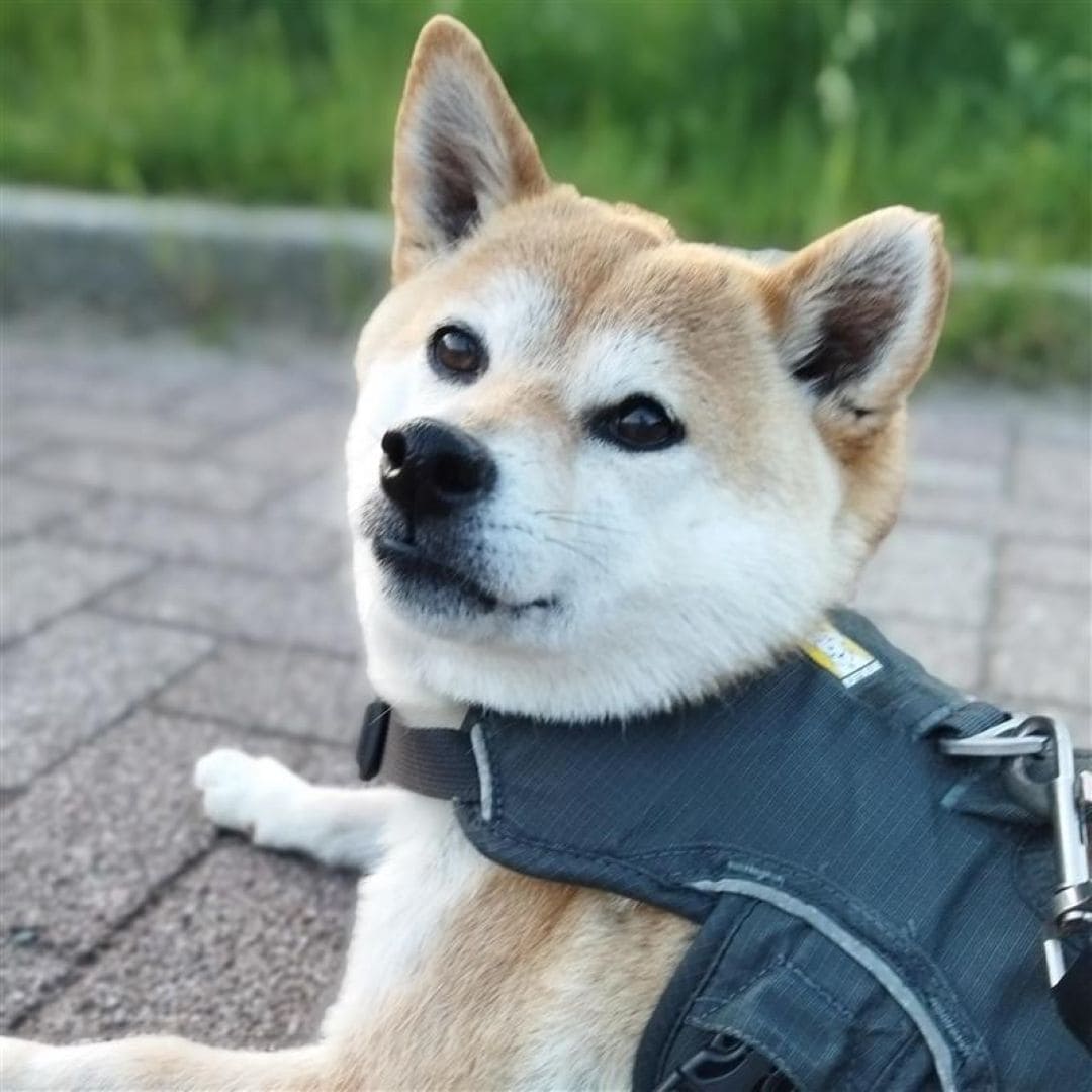 【神戸阪急】ライトアップ