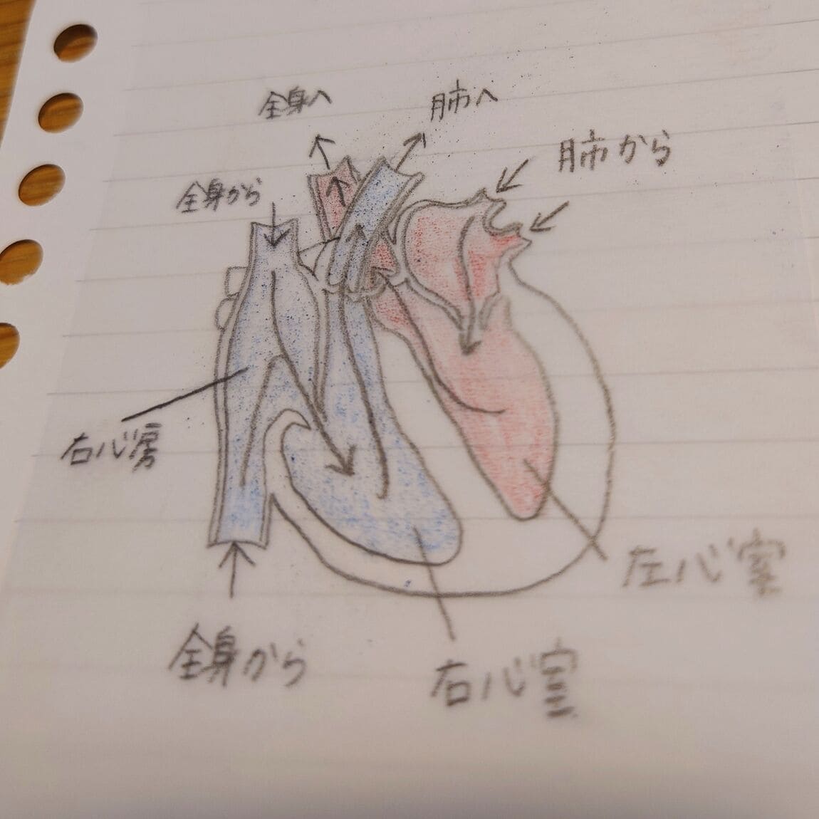 貼ったまま読める透明付箋紙