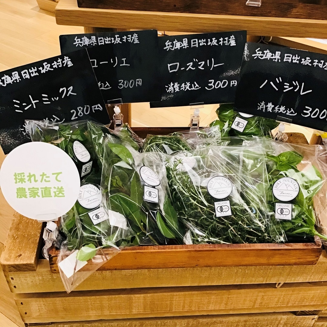 hori 