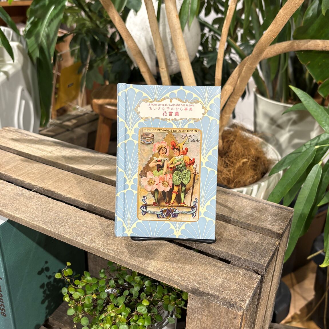 【COCOSA熊本下通】　今日のずっといい言葉