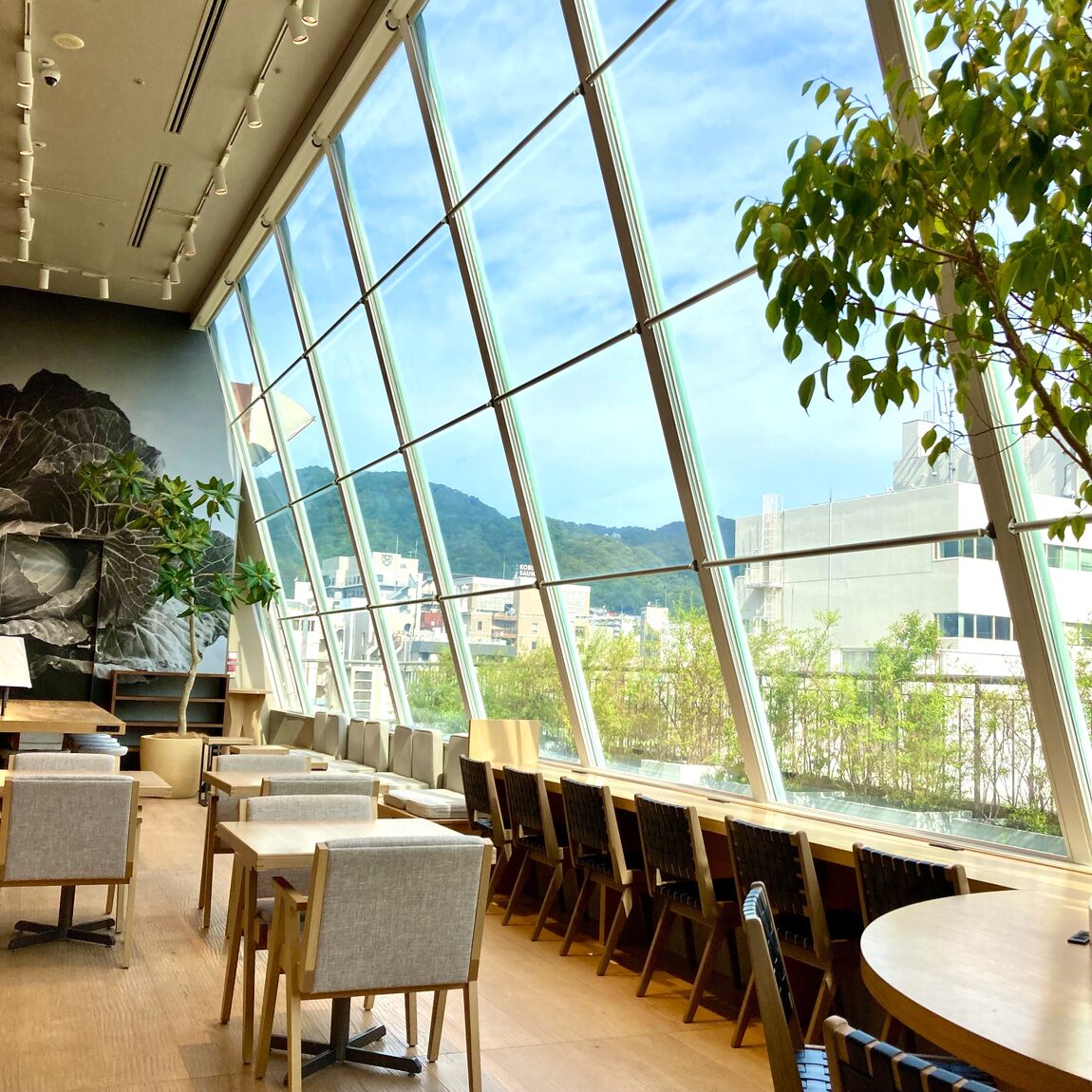 【Cafe＆MealMUJ神戸BAL】今日も一日_x9W4Cm