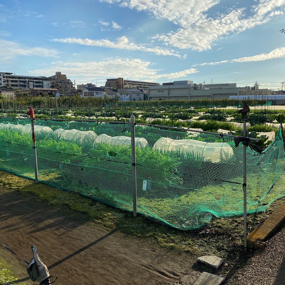 体験農園２