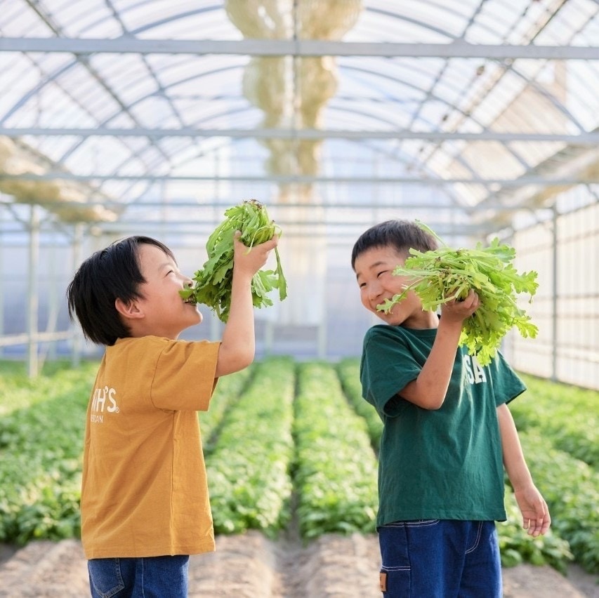 【堺北花田】『西阪さんの菊菜』が入荷しました｜青果売場から