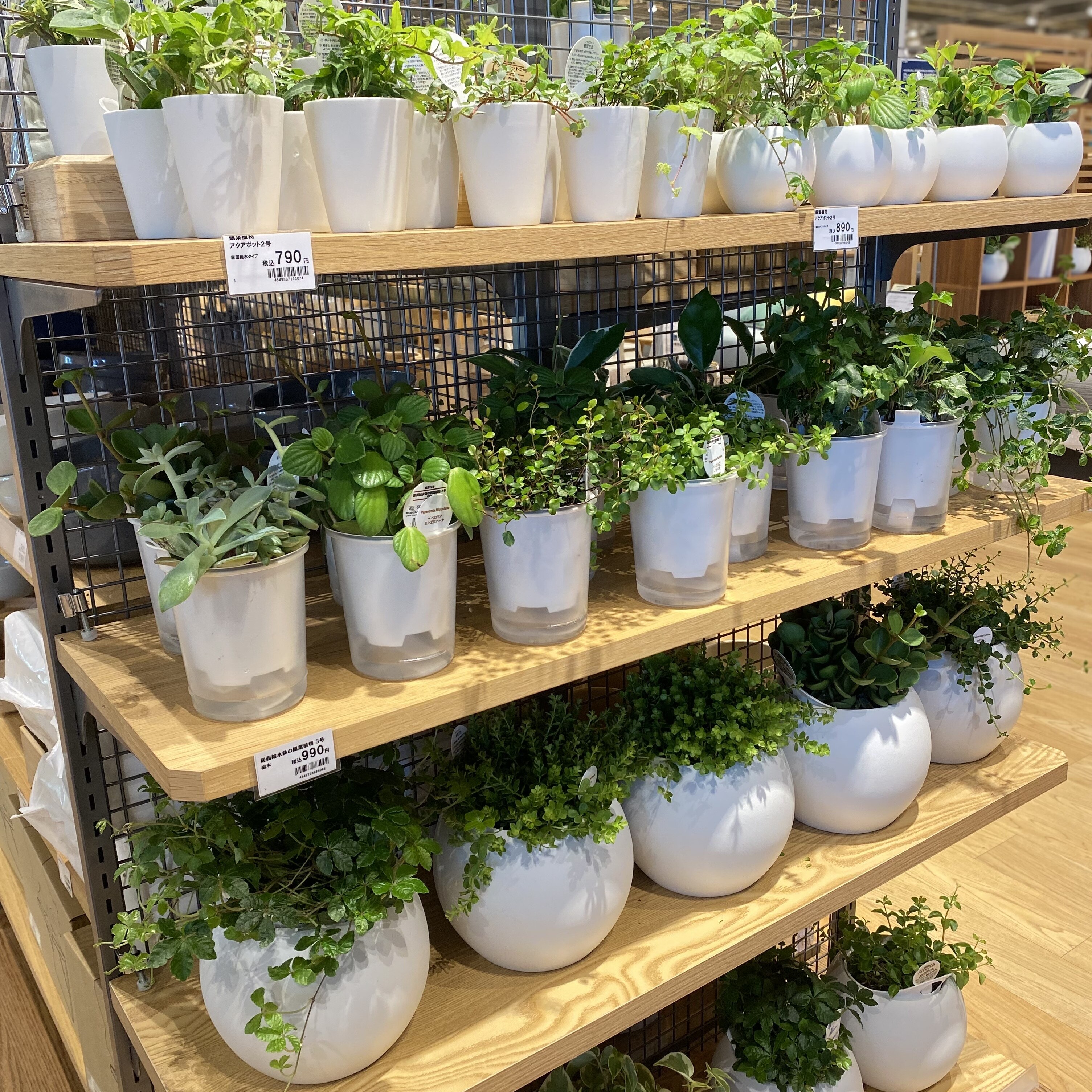売り場