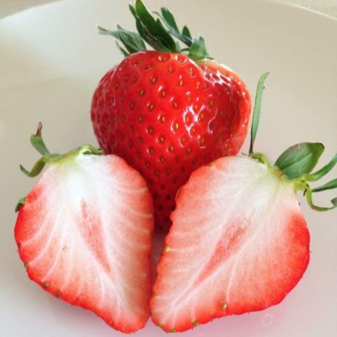 【銀座】苺をお届けします。｜1F 食品　