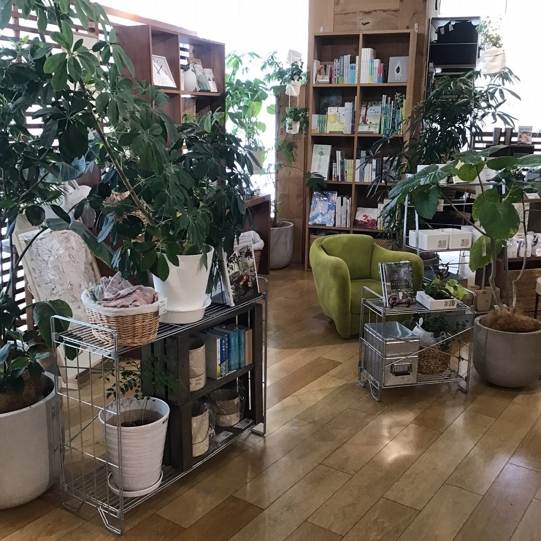 【COCOSA熊本下通】　新芽