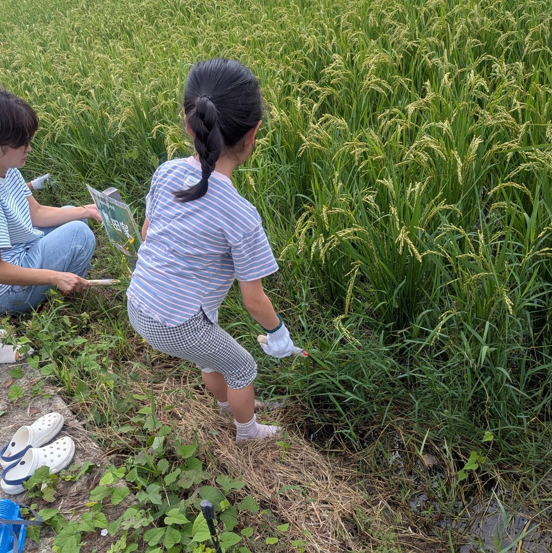 【ルビットパーク大口】田んぼの学校〜9月草引き・農業機械の学校_QR42Mv