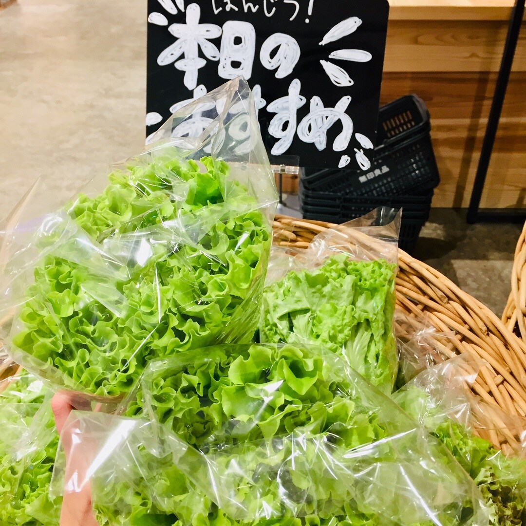 【直江津】レタス