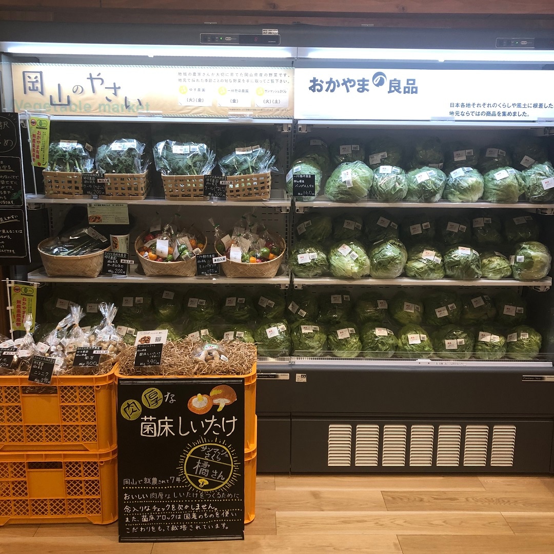 【イオンモール岡山】地元で採れた新鮮野菜を食べよう｜レタス
