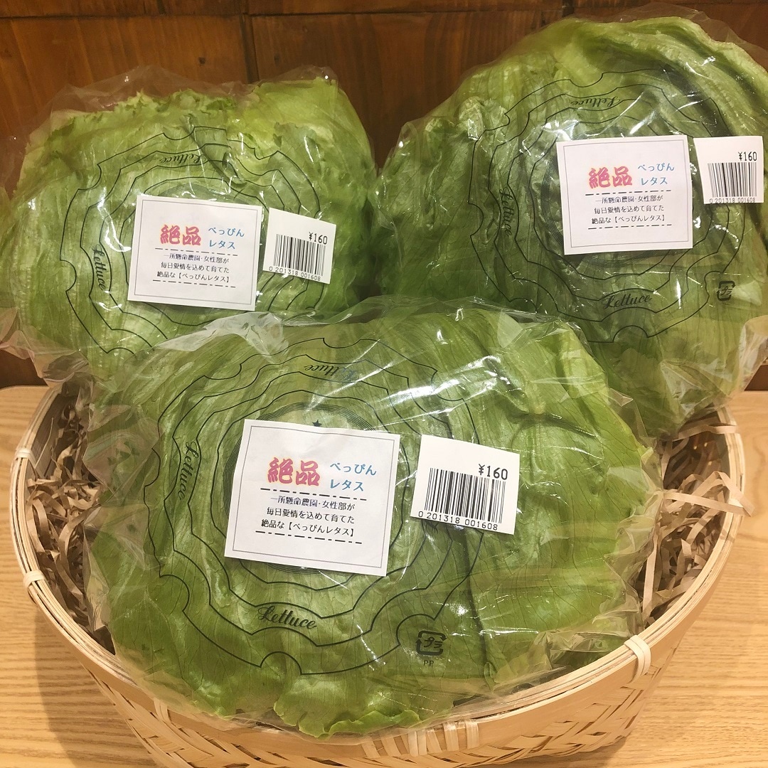 【イオンモール岡山】地元で採れた新鮮野菜を食べよう｜レタス