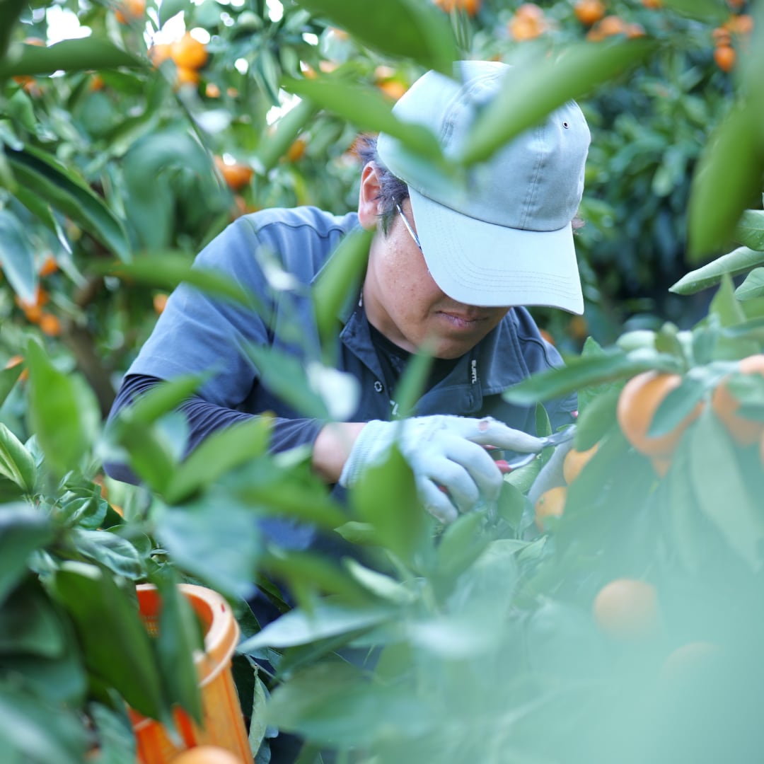 046843_20251216_01_01