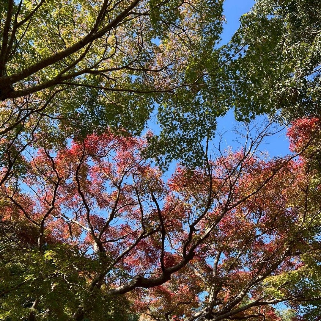 1204　カカオトリュフ　03