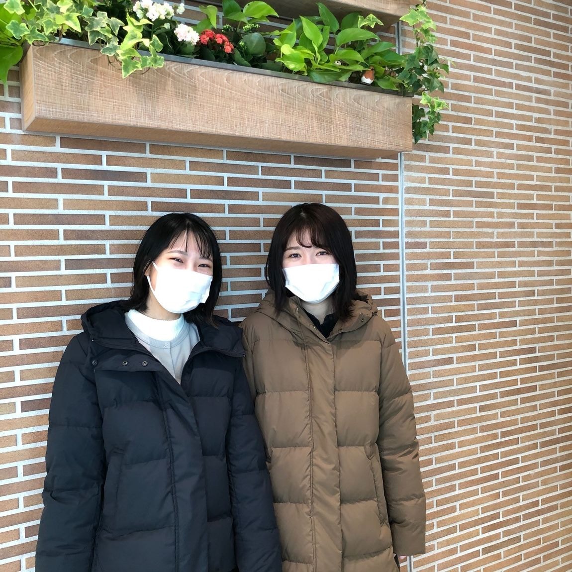 ダウン