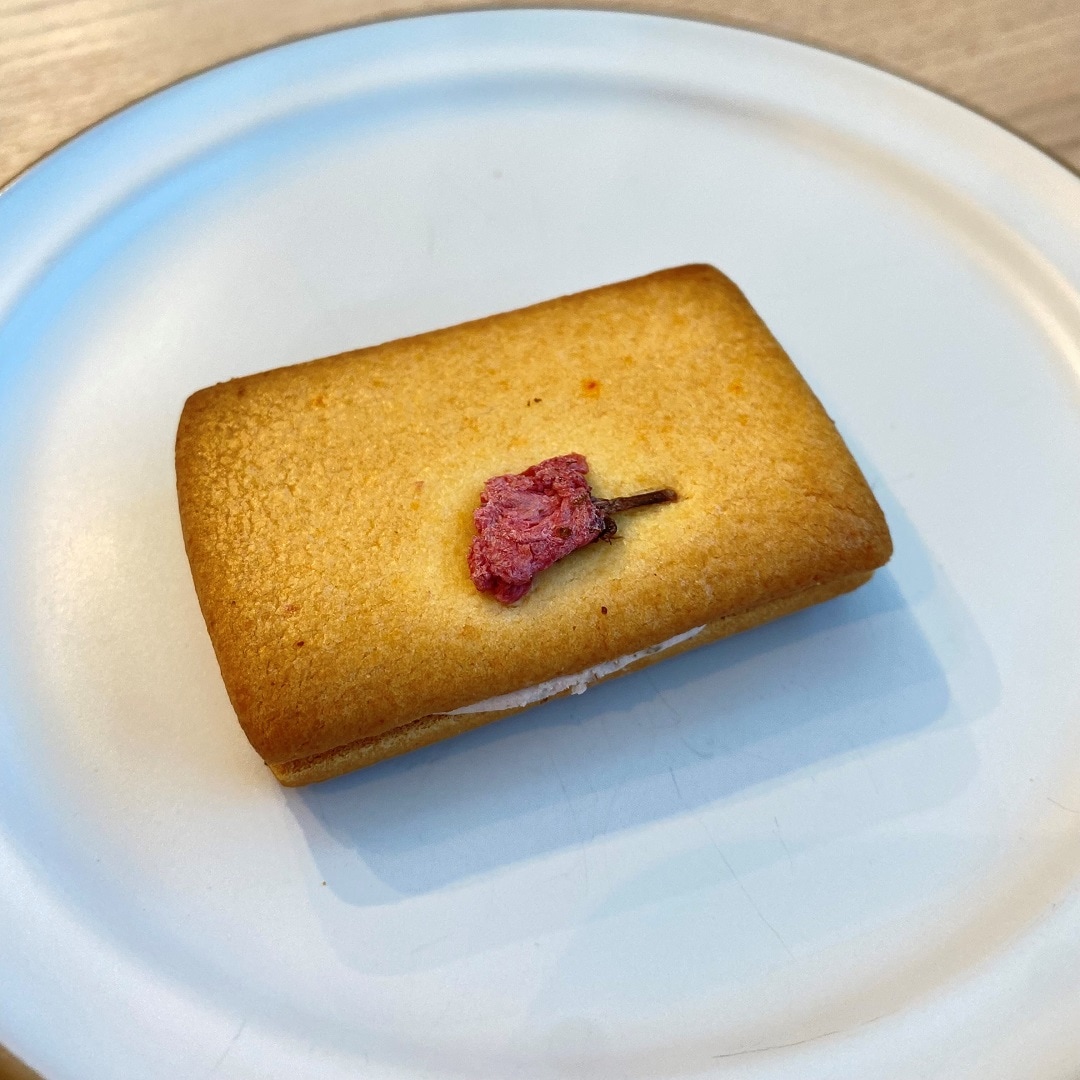 さくら