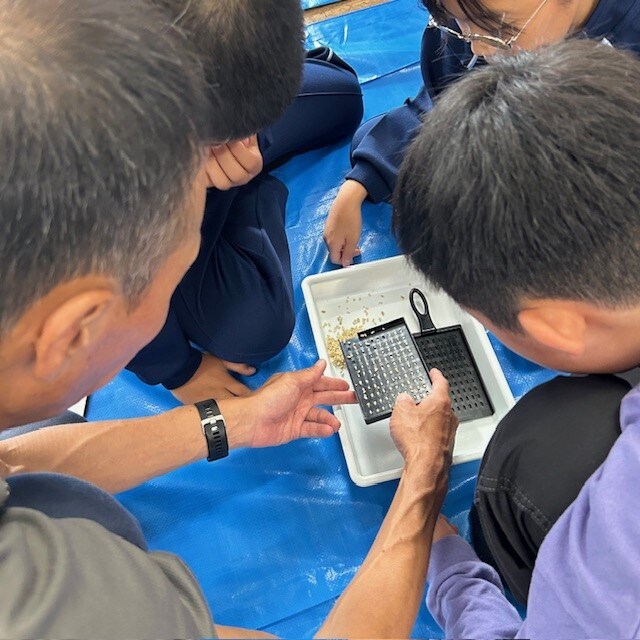 調査