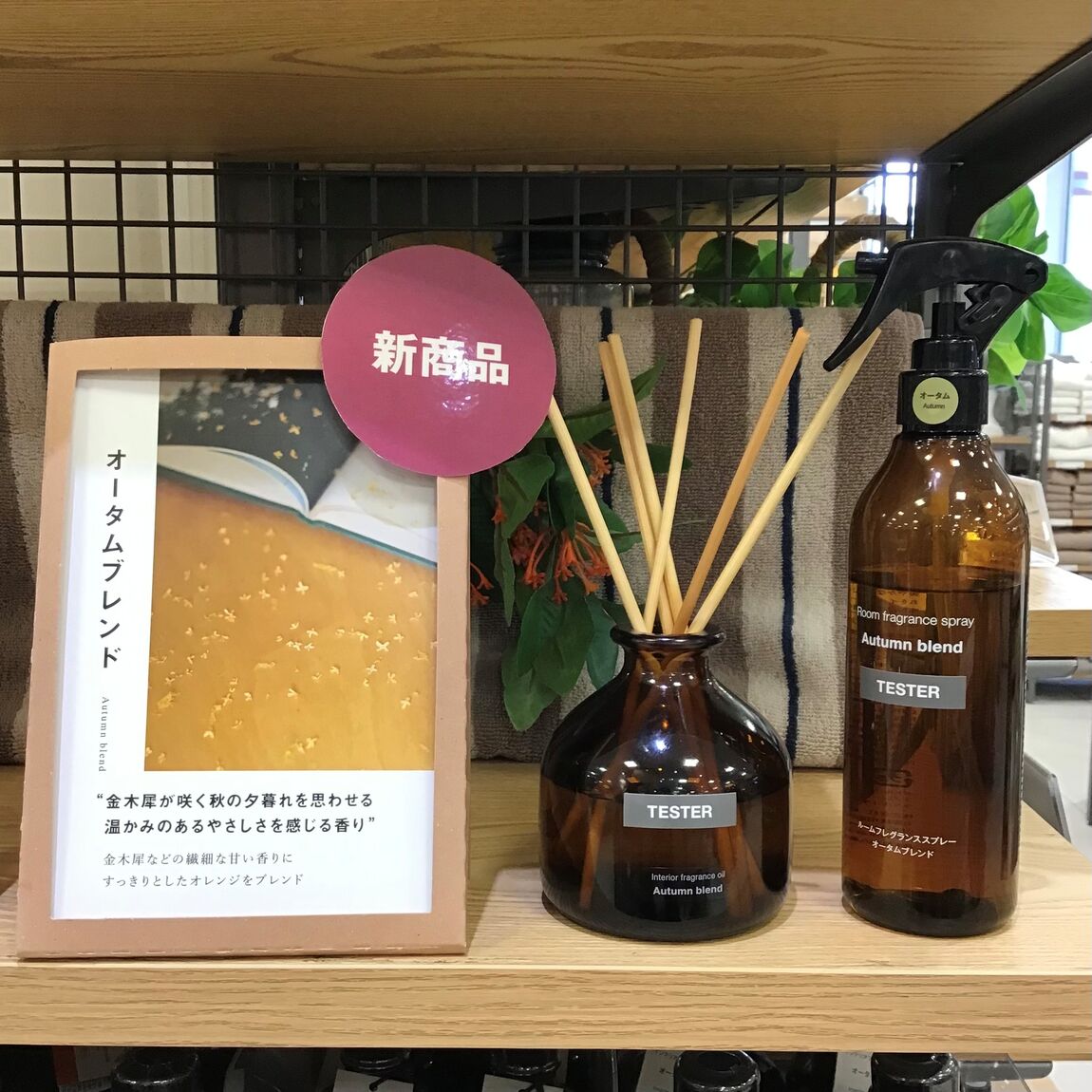 【アリオ西新井】季節限定 秋のフレグランスのご紹介_vPOO8G