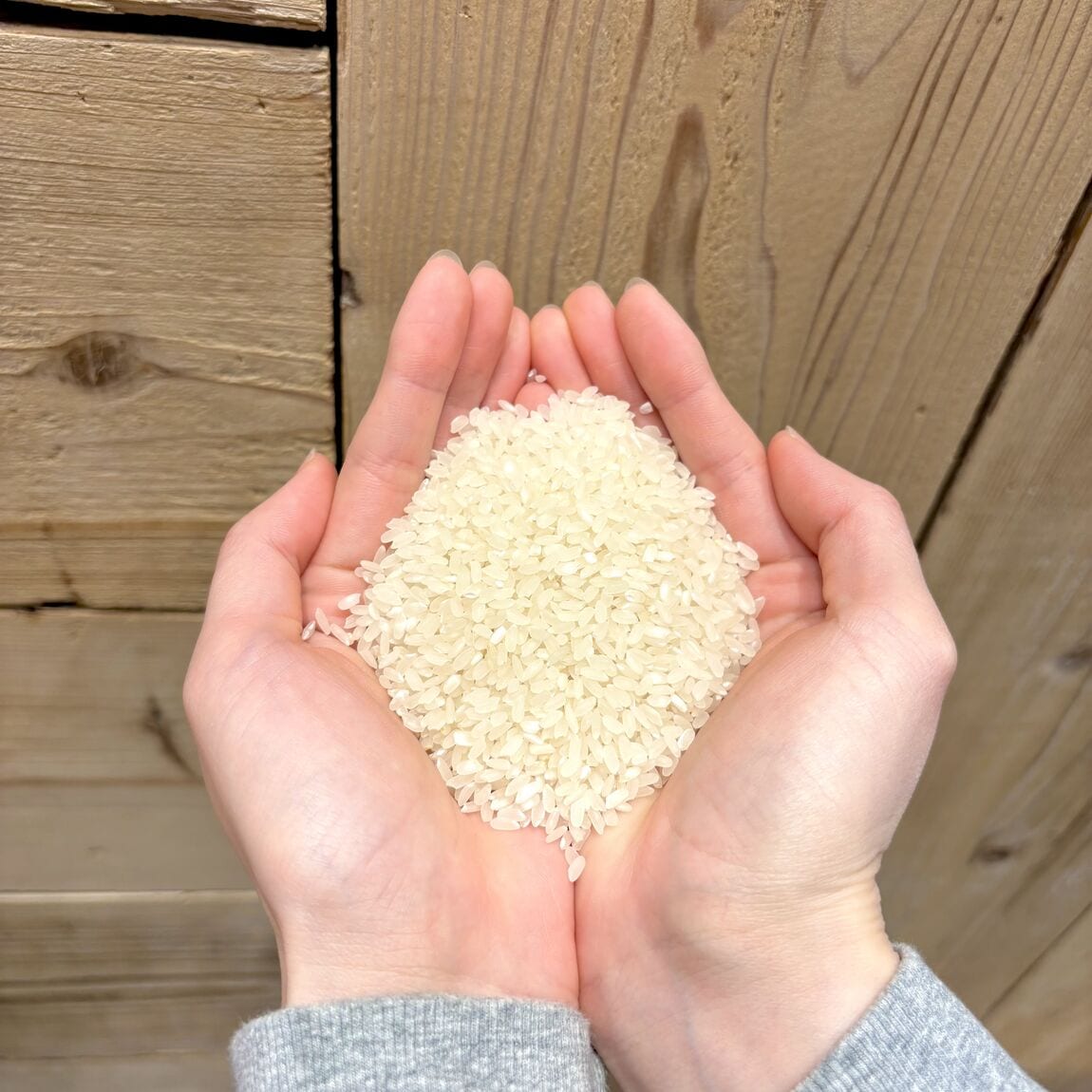 046693_20260124_01_01