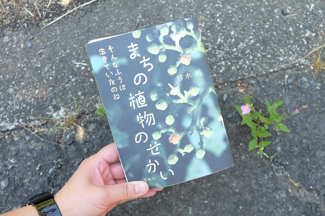 【イオンモール堺北花田】植物とともに、くらす