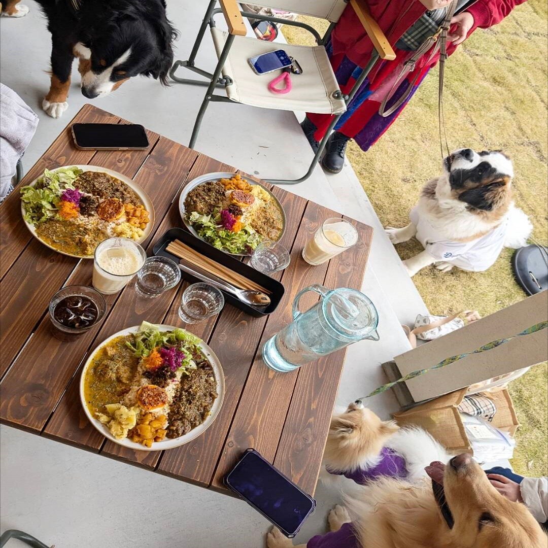カレーの写真
