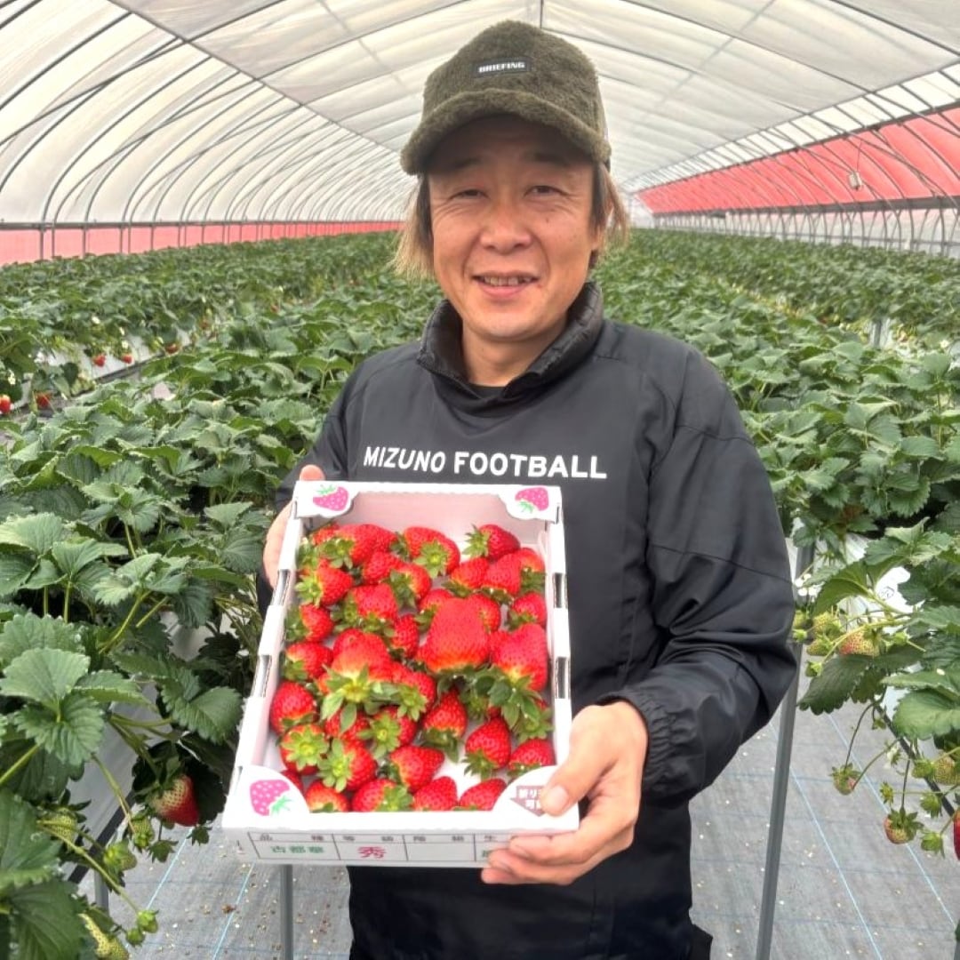 【堺北花田】産直うまいもん市開催中｜青果売場から