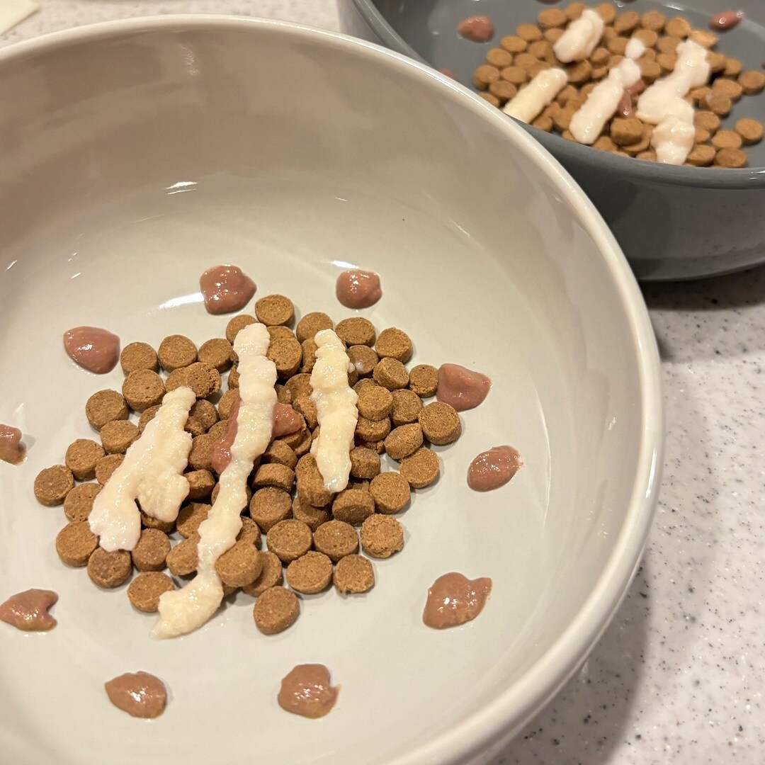 【ザ・モール仙台長町】素材を生かした猫のごはんにピューレをかけてアレンジ