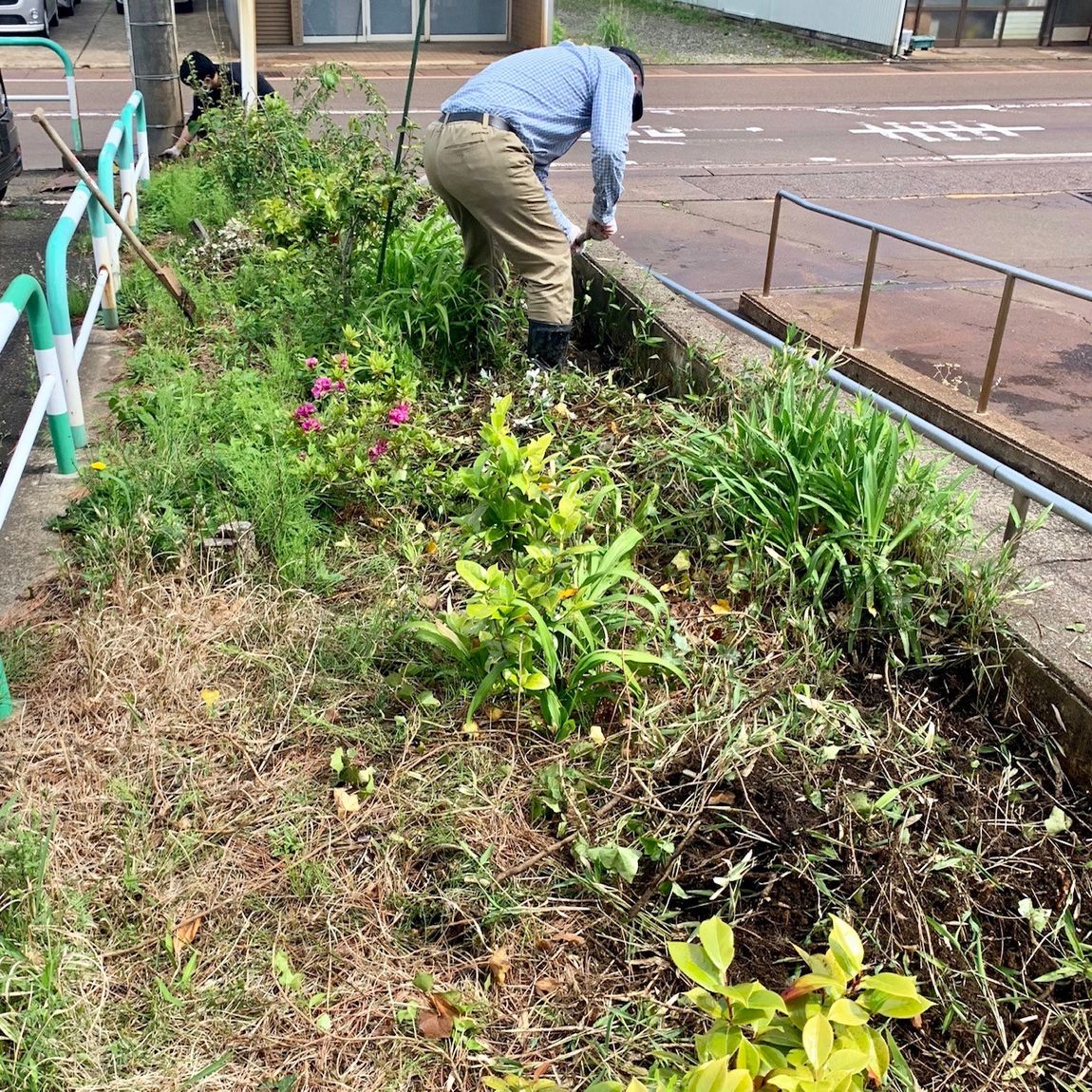 草刈り前の花壇