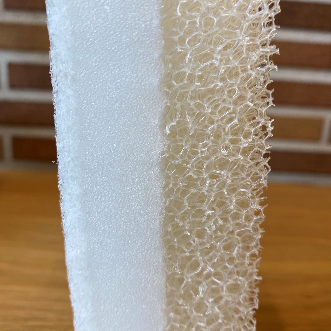バススポンジ