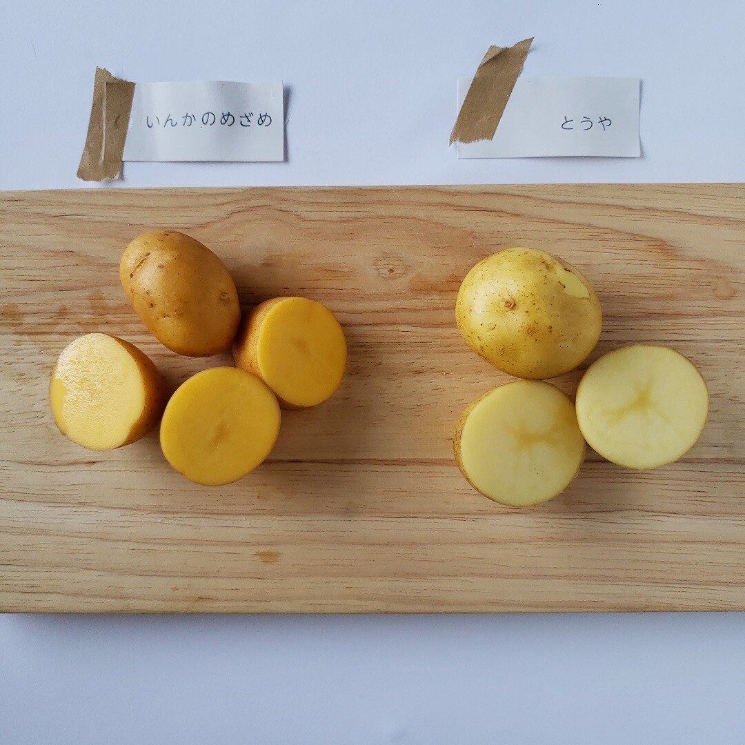 【近鉄四日市】2種じゃがいものフライドポテト
