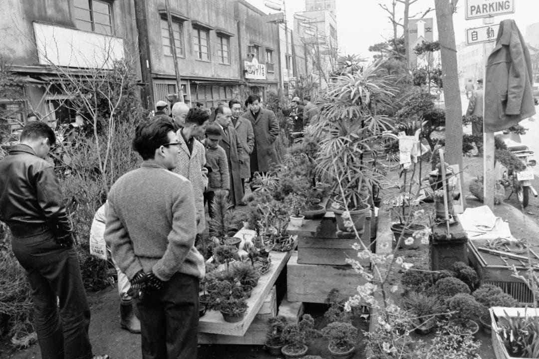 昭和時代の植木市の様子