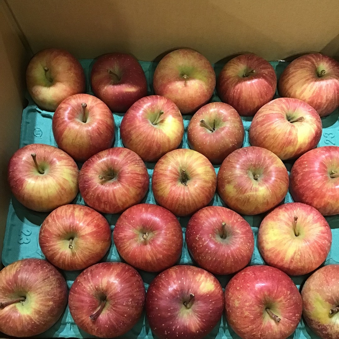 【ららぽーとTOKYO-BAY】不揃いりんご　入荷しました