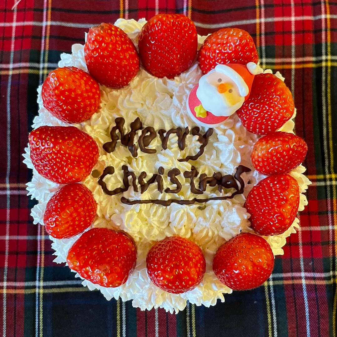 【ららぽーとTOKYO-BAY】特大バウムでクリスマスデコレーションを楽しむ