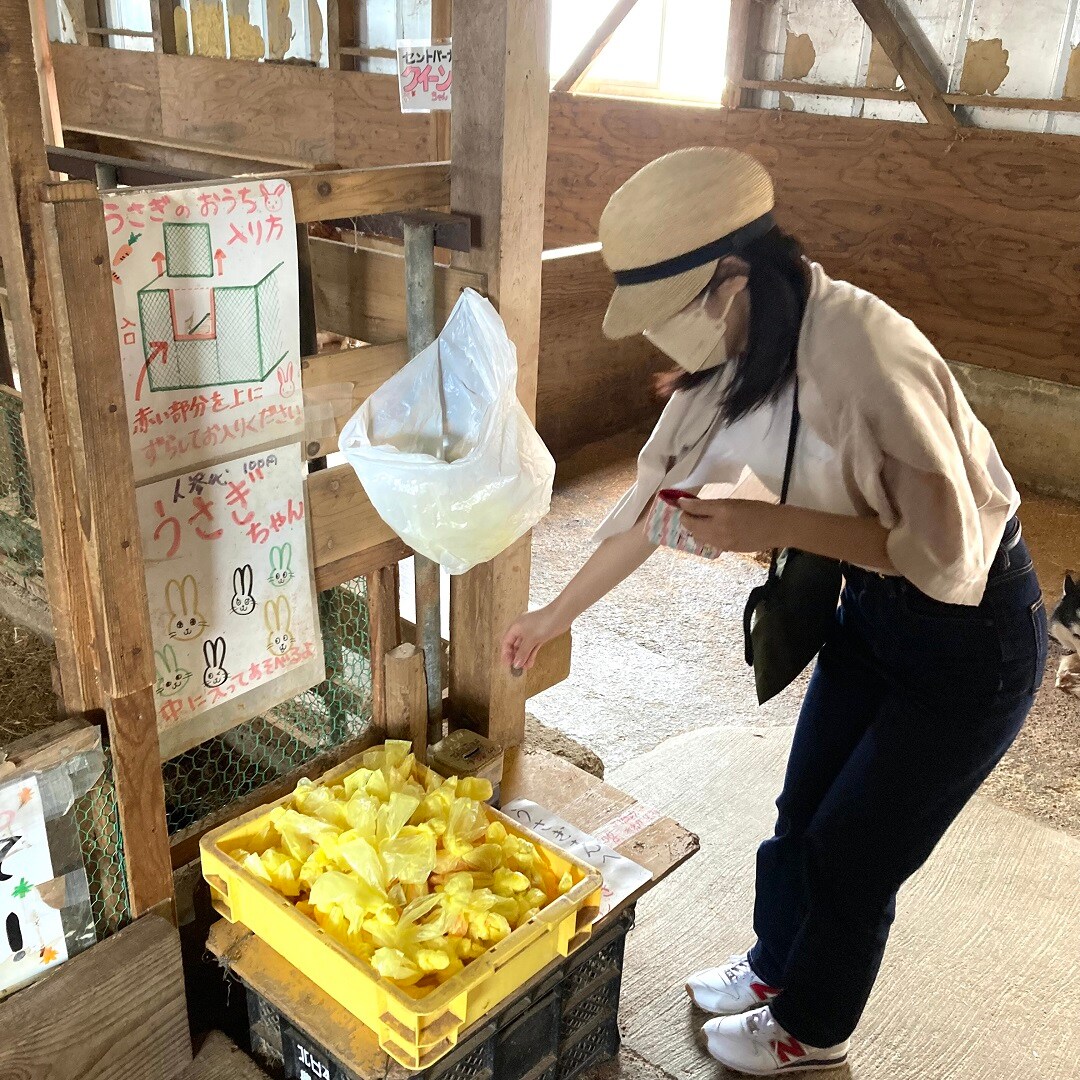 【イオンモール秋田】牧場