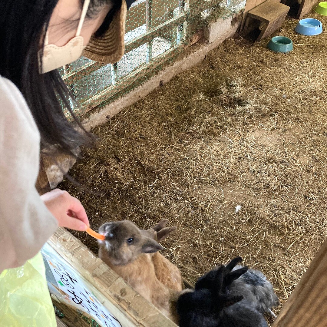 【イオンモール秋田】牧場