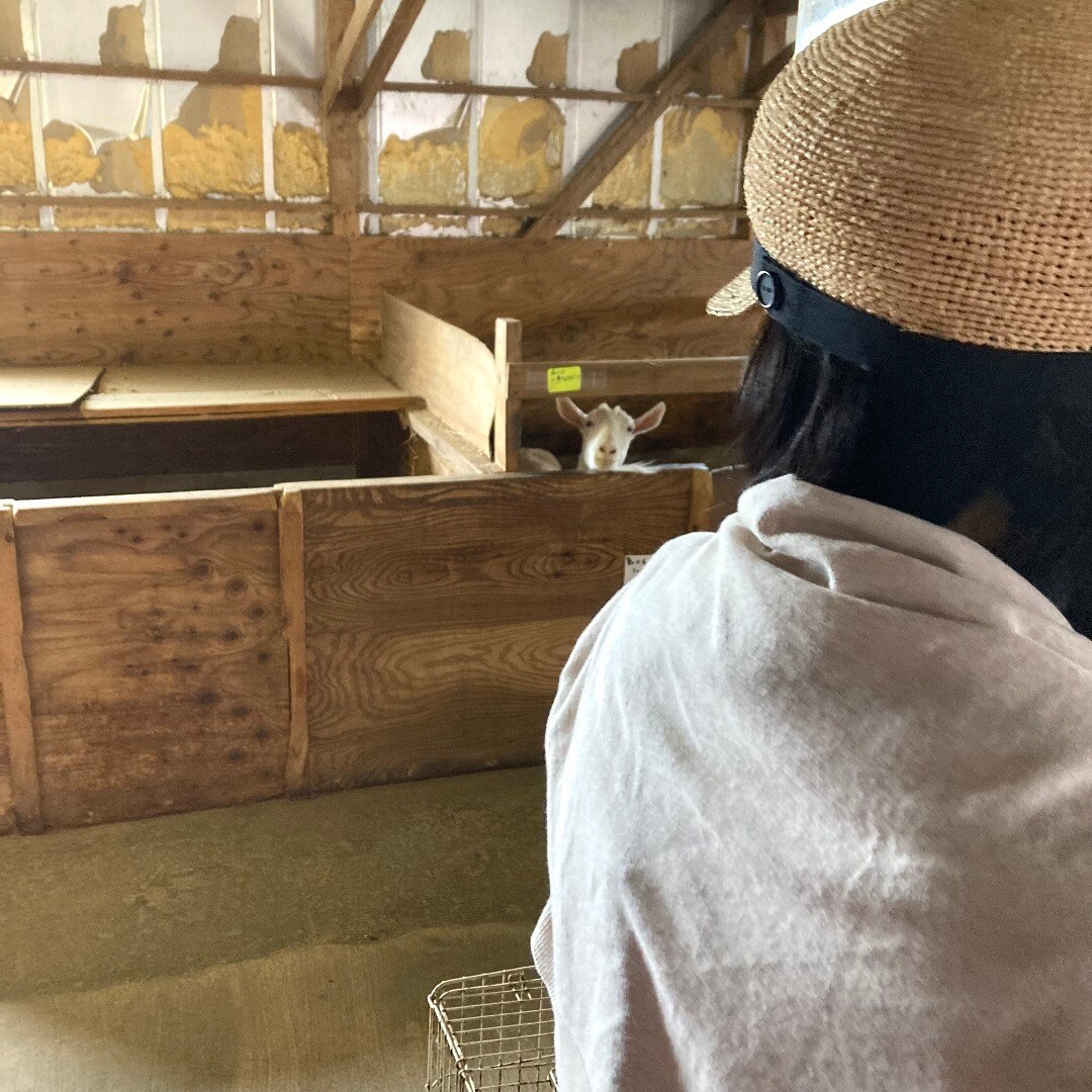 【イオンモール秋田】牧場