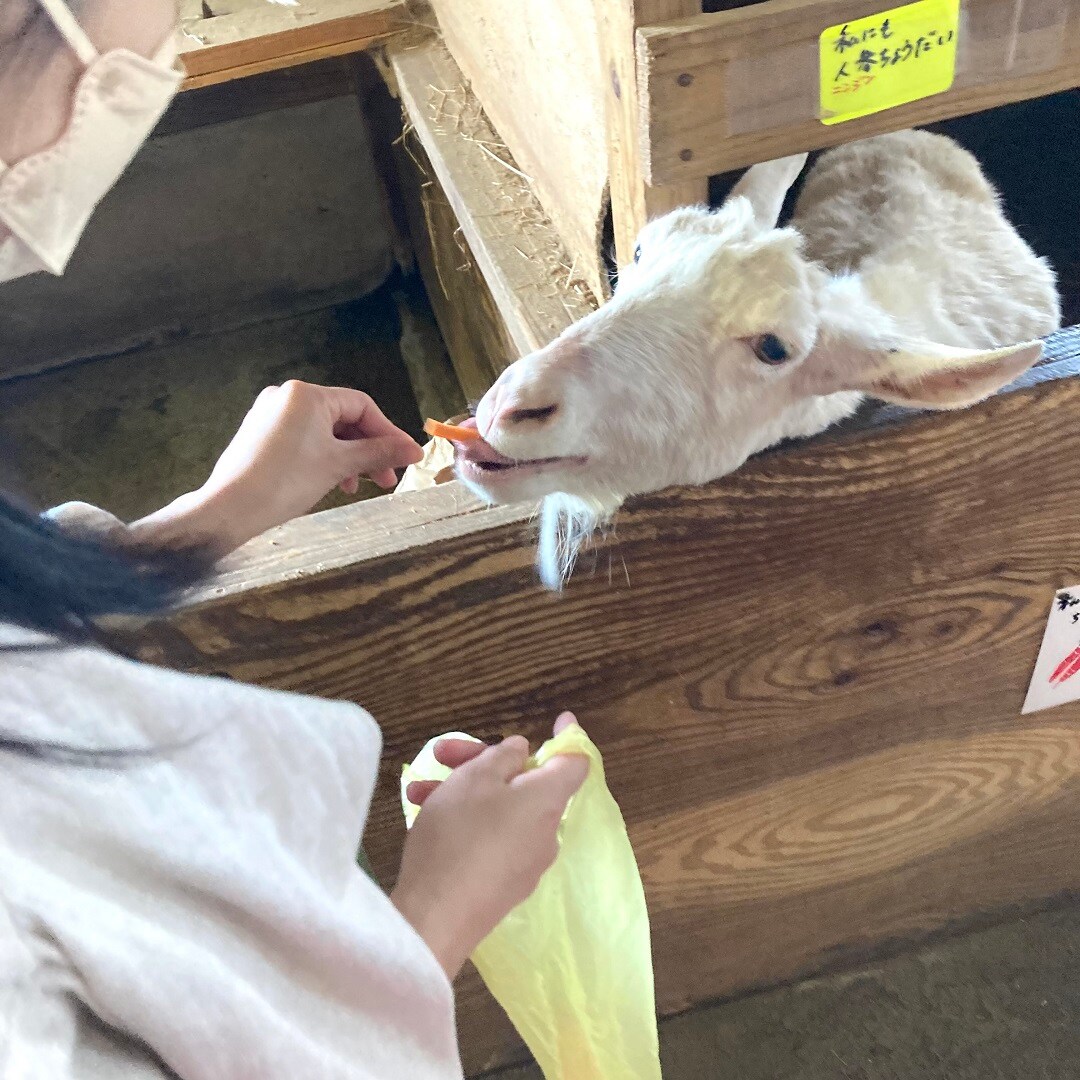 【イオンモール秋田】牧場