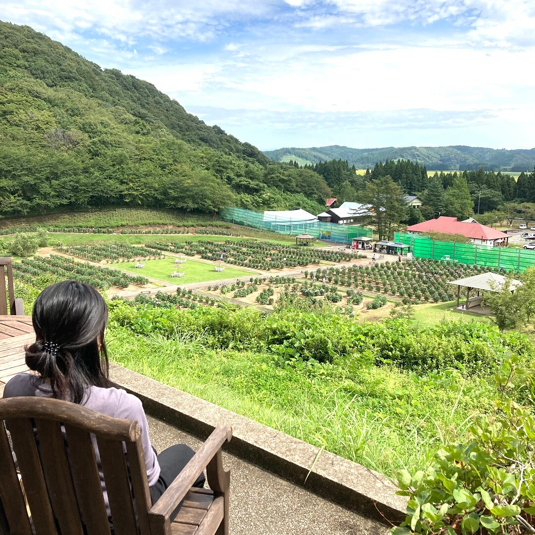 【イオンモール秋田】素敵