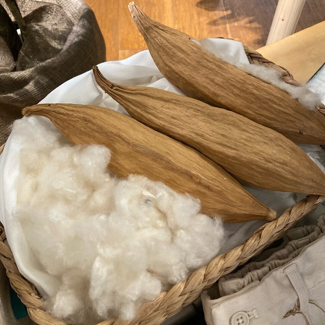 木の葉モール橋本