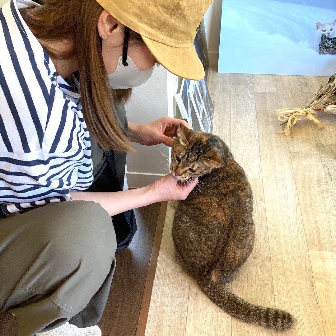 【イオンモール秋田】秋田の素敵なお店